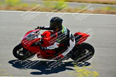 media/May-10-2024-2WTD (Fri) [[c88d7990af]]/Group C/Session 2-The Bowl/